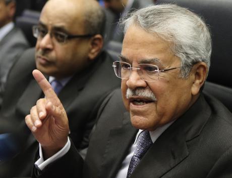 Saudi Arabia's Oil Minister al-Naimi talks to journalists before a meeting of OPEC oil ministers at OPEC's headquarters in Vienna